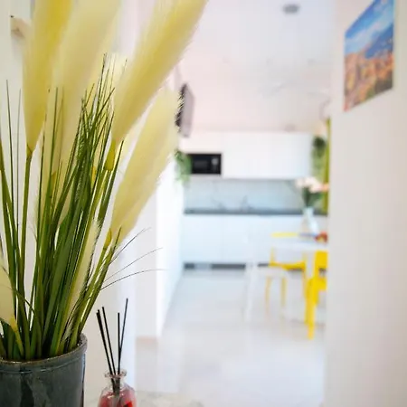 D&d SantʼAntonio Abate